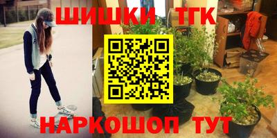 mdpv Рыбинск